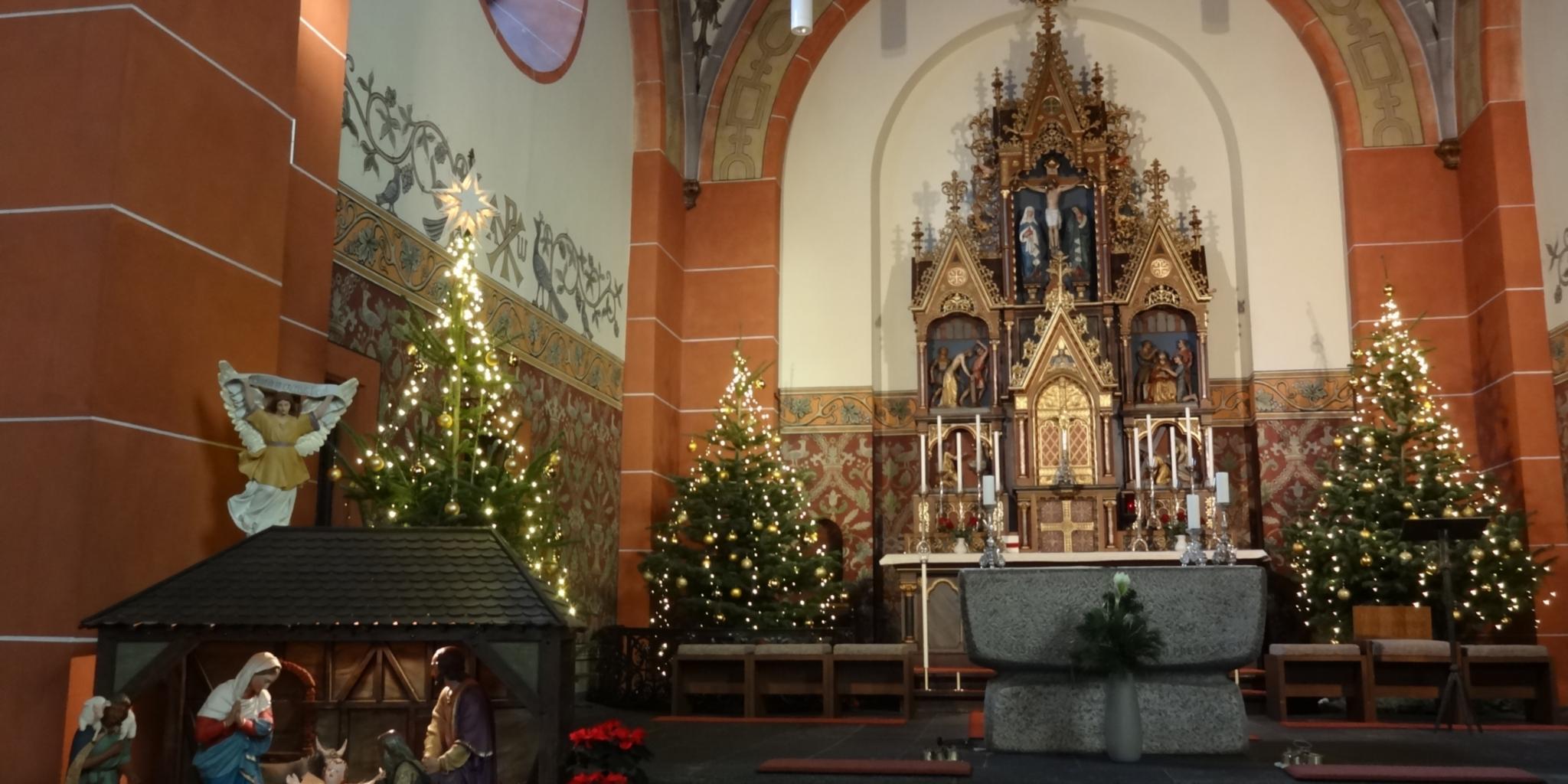 Weihnachtlicher Altarraum mit Krippe und Weihnachtbäumen in der Pfarrkirche Kobern