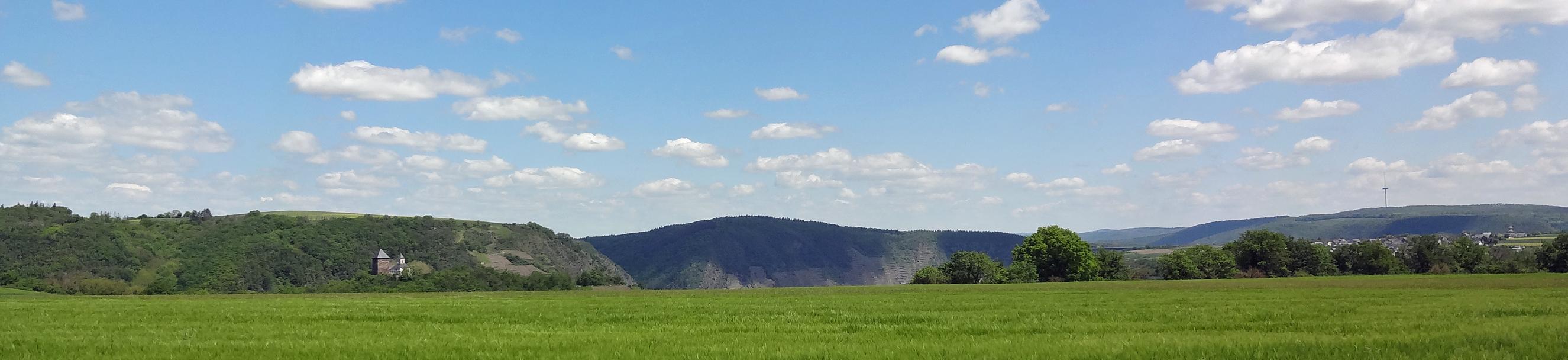 Man sieht im Vordergrund ein Getreidefeld auf dem Maifeld und im Hintergrund die Matthiaskapelle Kobern mit den Moselbergen.