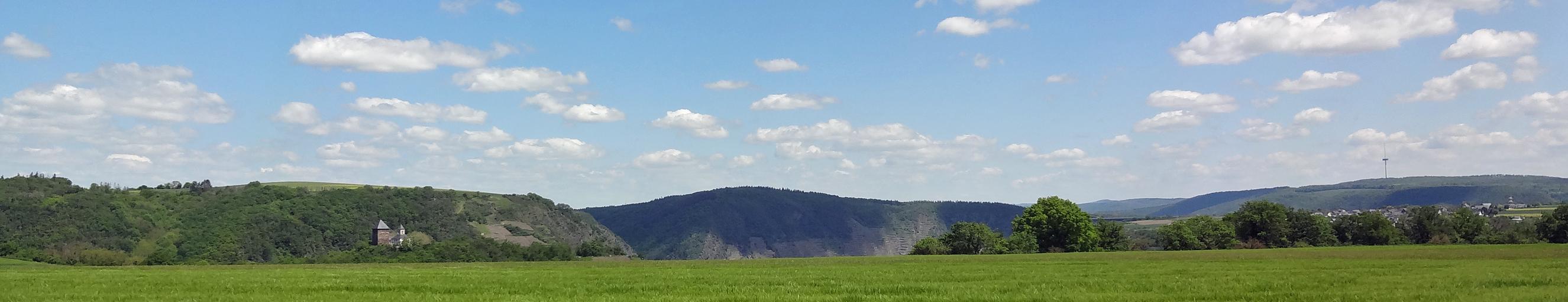 Man sieht im Vordergrund ein Getreidefeld auf dem Maifeld und im Hintergrund die Matthiaskapelle Kobern mit den Moselbergen.