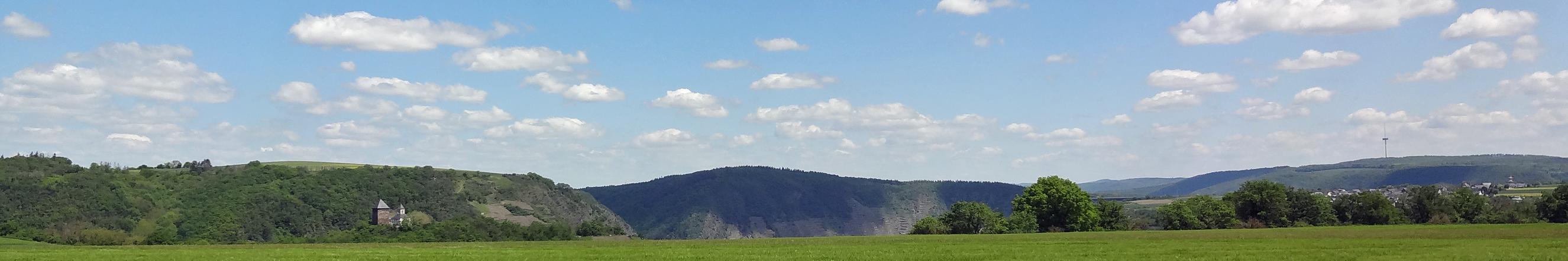 Man sieht im Vordergrund ein Getreidefeld auf dem Maifeld und im Hintergrund die Matthiaskapelle Kobern mit den Moselbergen.